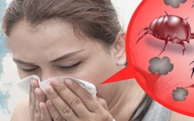 Алергия към акари от домашен прах