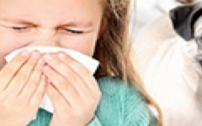 Алергии при деца